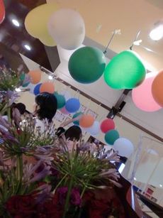 Cafe511