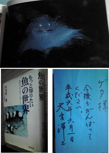 寝る前に