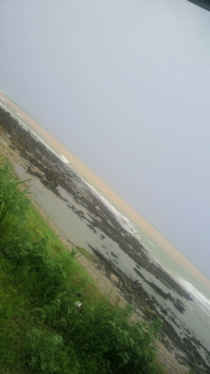 徳之島遠征 2011