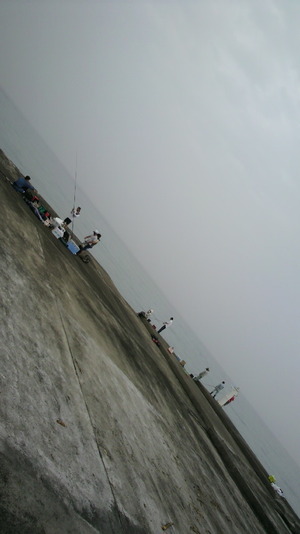 徳之島遠征 2011