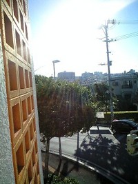 2009年01月16日