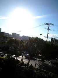 2009年01月17日