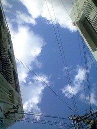 2009年01月17日