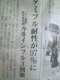 2009年01月17日