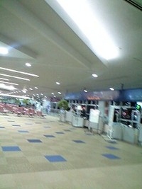 2009年01月18日