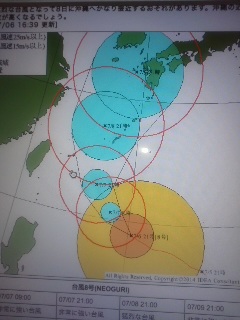逸れる気はないみたいだ。 逸れる気はないみたいだ。