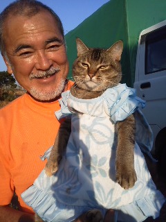 カワイイは平和を招く。 カワイイは平和を招く。
