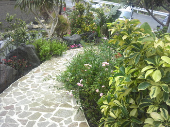 garden Kuu cafe のピザセット♪