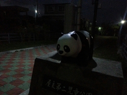 要注意パンダ・・・