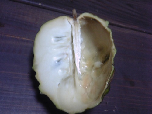 アテモヤ食べる!