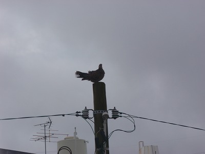 はっ!!