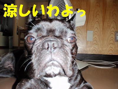 なつは・・・