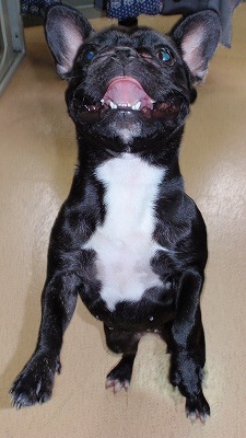 かえしてっ