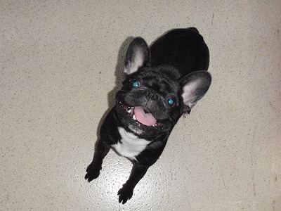 かえしてっ