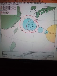 台風11号来た〜