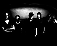 11/12(金) タテタカコ+envy