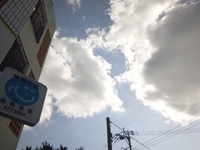 2012年01月26日