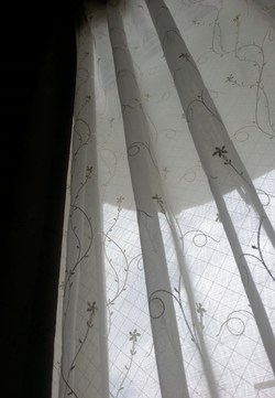 ベッドの上からで失礼します