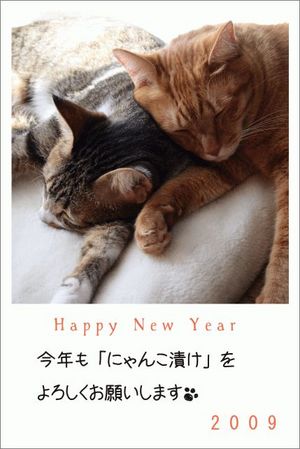 Happy New Year!