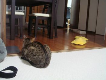 何したの!?