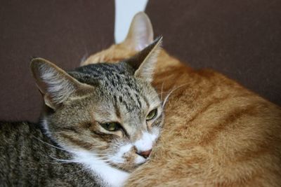 それでいいの?