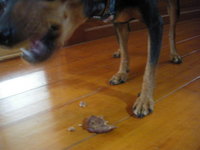 大好物 2008/09/11 21:18:20