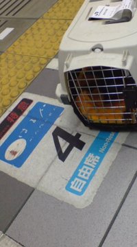 手荷物デス 2008/06/24 21:33:20