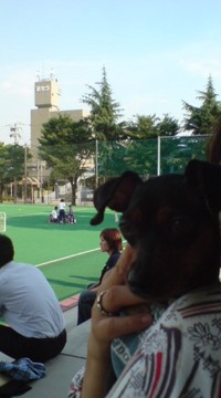 ちびっこサンガ 2008/07/03 21:04:32