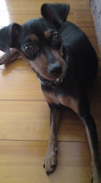 欲しいもの 2008/07/26 16:58:57