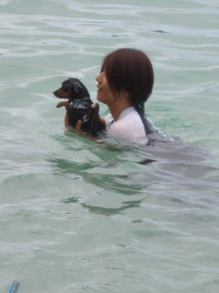 海で 2008/08/14 20:13:51