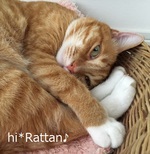 hi*Rattan♪