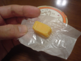 これが花畑牧場~!?☆