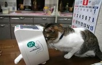 テンコーさんもビックリ