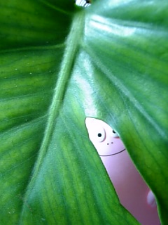 あっ!!!!訛ってます*