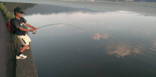 ♪♪ 夏休みの自由研究は・・・・・・・ ♪♪