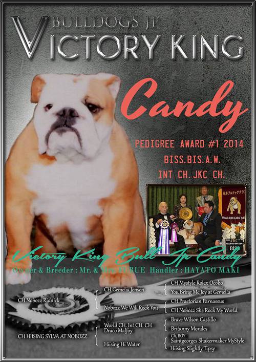 VICTORY KING BULL Candy VICTORY KING BULL Candy