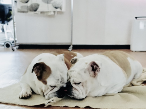 Always Together Always Together