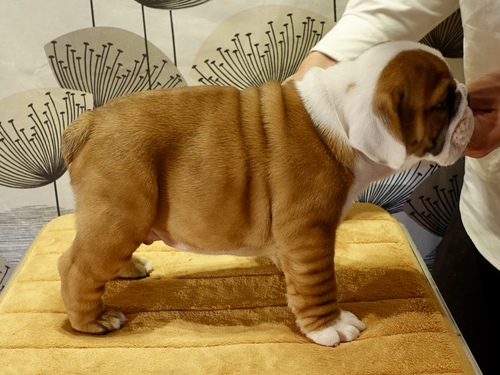 よい感じ よい感じ