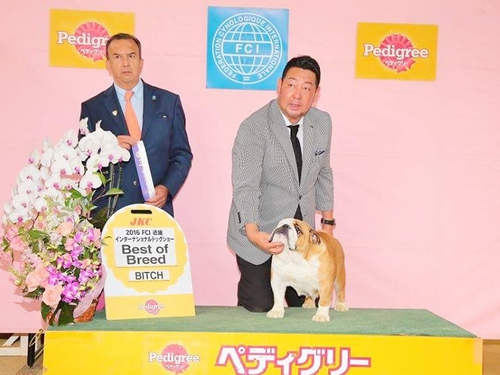 ドッグショー 遠征 ドッグショー 遠征