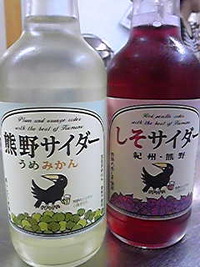 2012年01月19日