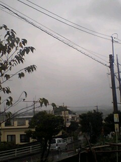 今日は雨・・・。