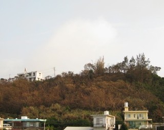 台風後