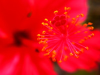 2009年12月22日