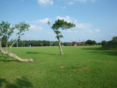 ★★ 何回行っても迷ってしまう沖縄総合運動公園 ★★