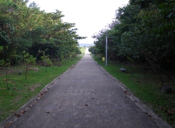 ★★ 何回行っても迷ってしまう沖縄総合運動公園 ★★