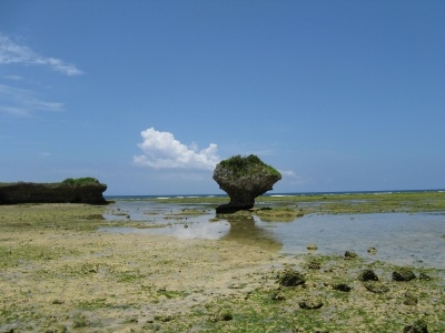 ♪♪ やっぱ沖縄の夏は暑いですね ♪♪