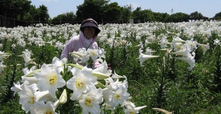 ♪♪ まだまだ見られますよ ♪♪
