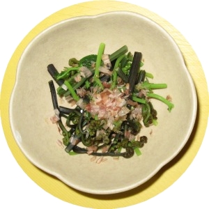 ♪♪ 先日頂いた 山菜料理で~す ♪♪