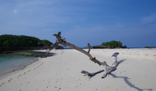 ♪♪ 無人島の海はきれい ♪♪