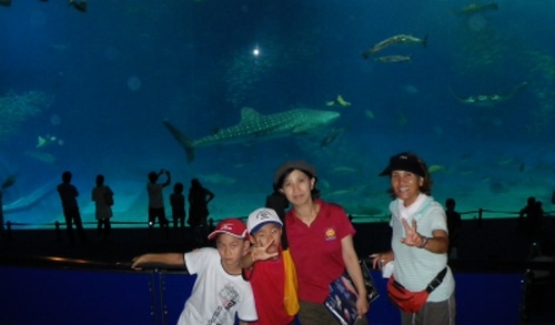 ♪♪ 沖縄と言ったら ここ 【ちゅら海水族館】 ♪♪
